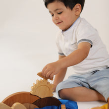 Load image into Gallery viewer, SHEIM