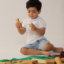 Load image into Gallery viewer, LAMB