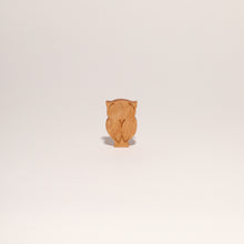 Load image into Gallery viewer, DESERT OWL