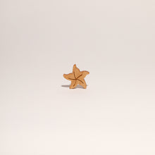 Load image into Gallery viewer, STARFISH