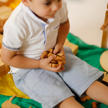 Load image into Gallery viewer, DUCK