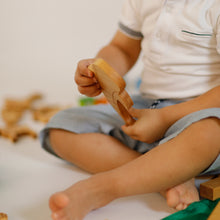 Load image into Gallery viewer, WHALE SHARK