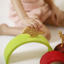 Load image into Gallery viewer, TURTLE