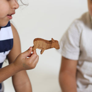 DONKEY FOAL