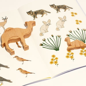FEB 25/26 ACTIVITY BOOK SET