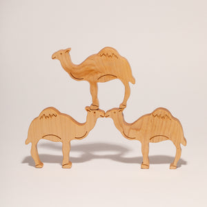 CAMEL - STANDING