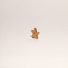 Load image into Gallery viewer, STARFISH
