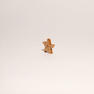 STARFISH