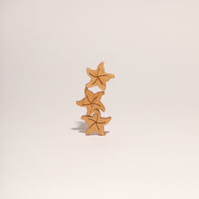 Load image into Gallery viewer, STARFISH
